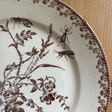 Mismatched set of 6 old flat plates