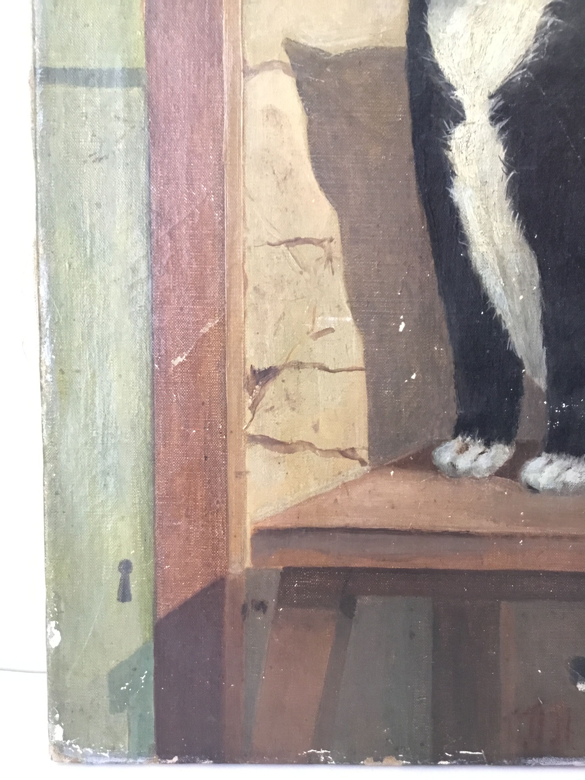 Portrait de chat 1938
