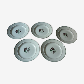 5 assiette plate vintage en faience de gien decor fleur