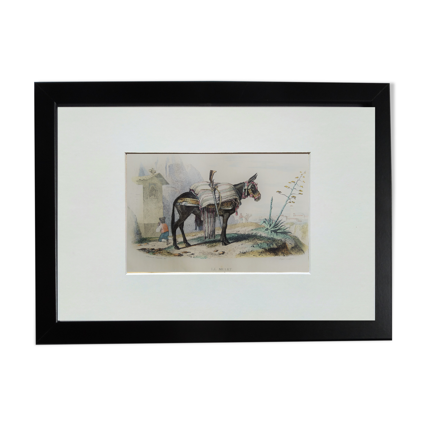 Original zoological illustration "mule" - Buffon 1840