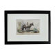 Original zoological illustration "mule" - Buffon 1840