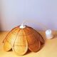 Rattan flower suspension 1960