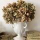 Ceramic amphora-shaped planter/vase