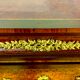 Secretary Napoleon in rosewood, violet wood and gilded bronzes.