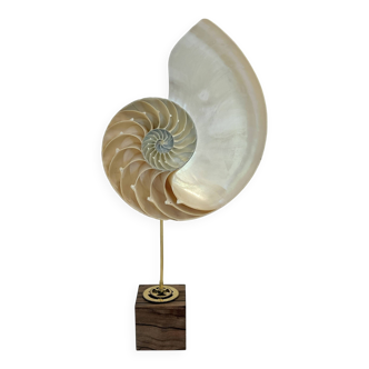 Ancien grand demi nautile sur pied socle en bois cabinet de curiosités