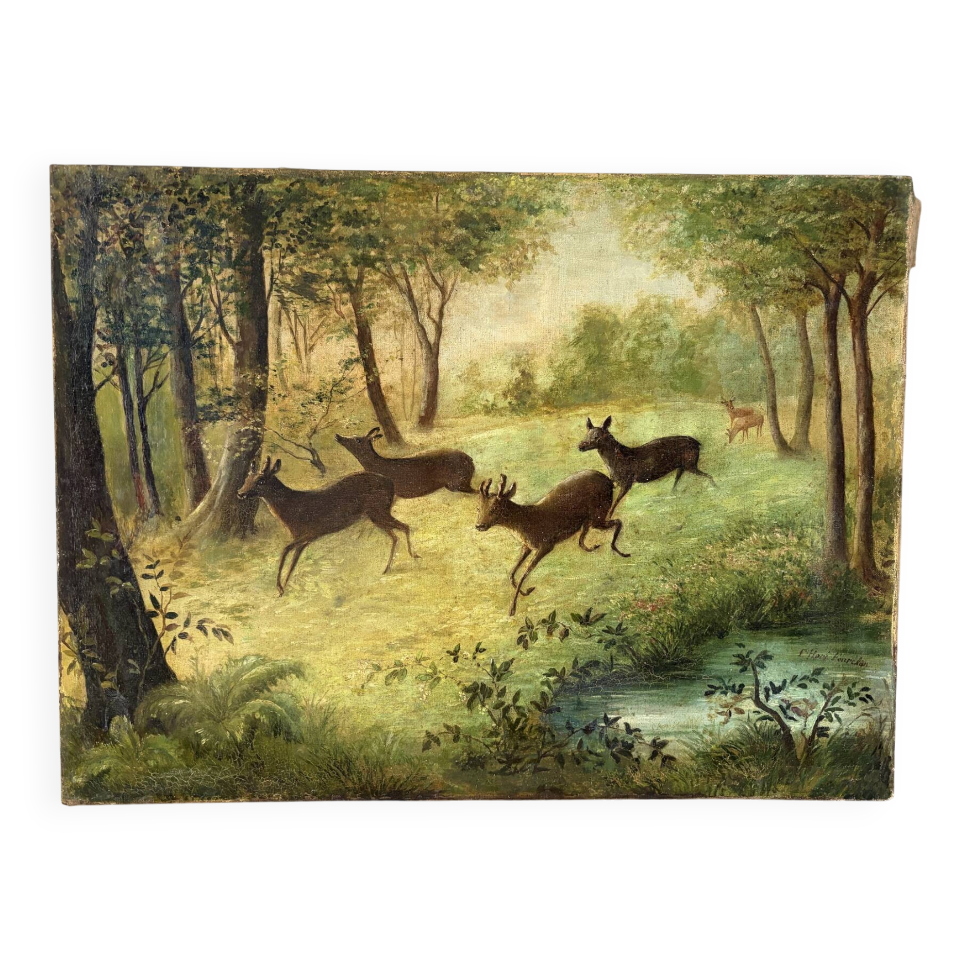 Clearing with five deer, oil on canvas signed F Hari Fourchon