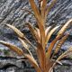 Nice chandelier 60s ears of wheat in 5 branches gilded metal