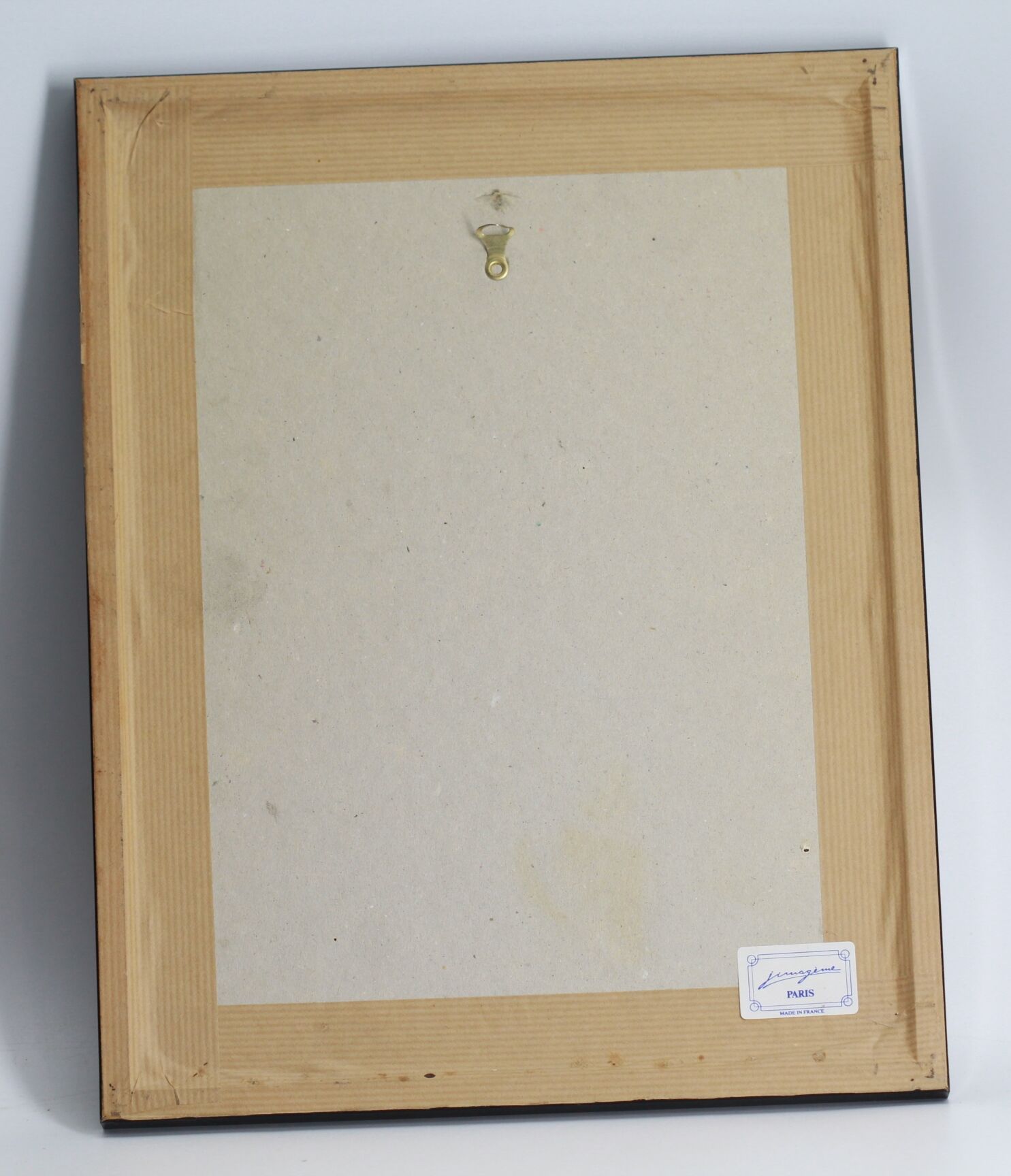 Magnolia botanical setting