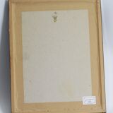 Magnolia botanical setting