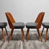 Dining Chairs by Oswald Haerdtl, 1950s, Set of 4