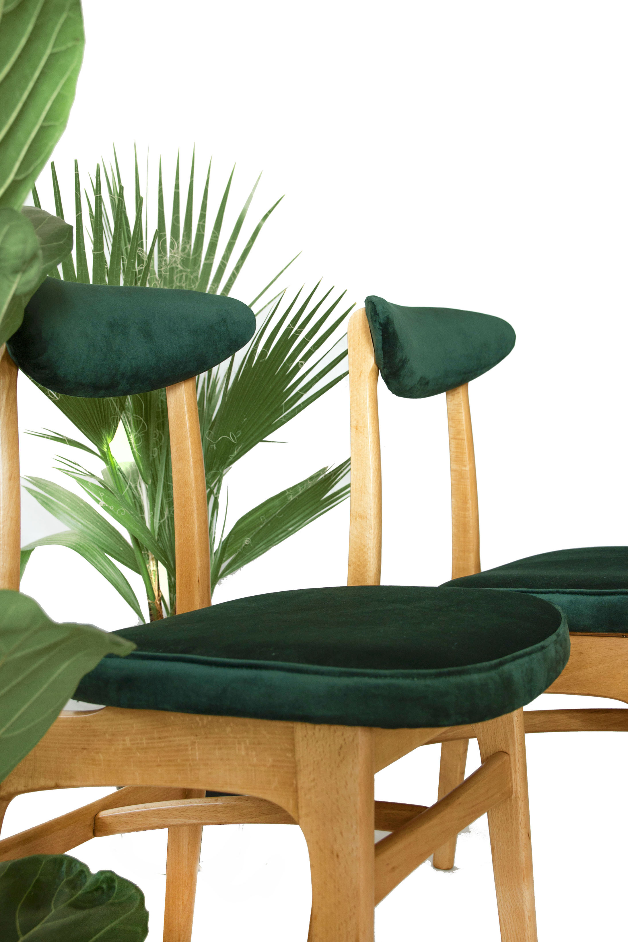 Set of 6 chairs retapissees