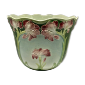 Iris pot-pot