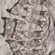Set of 10 glass knife rests