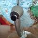 Earth globe