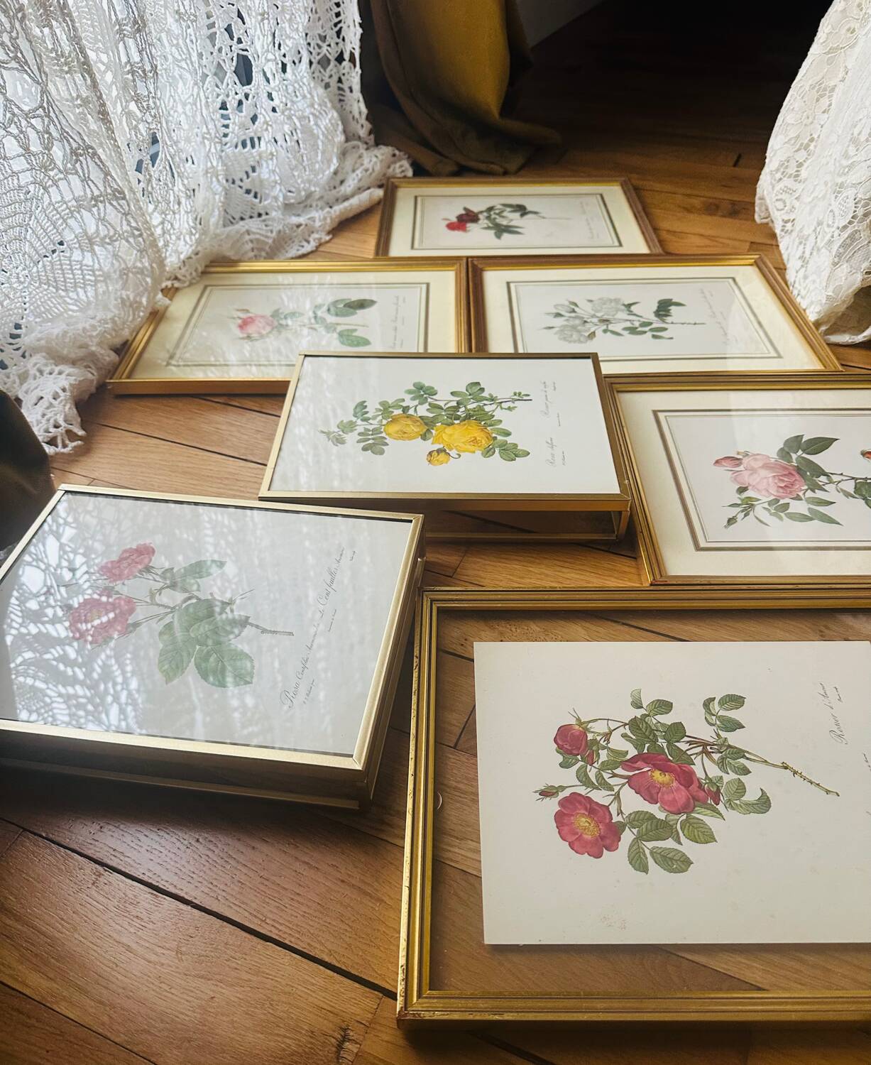 Lot de 7 lithographies botaniques roses 1950