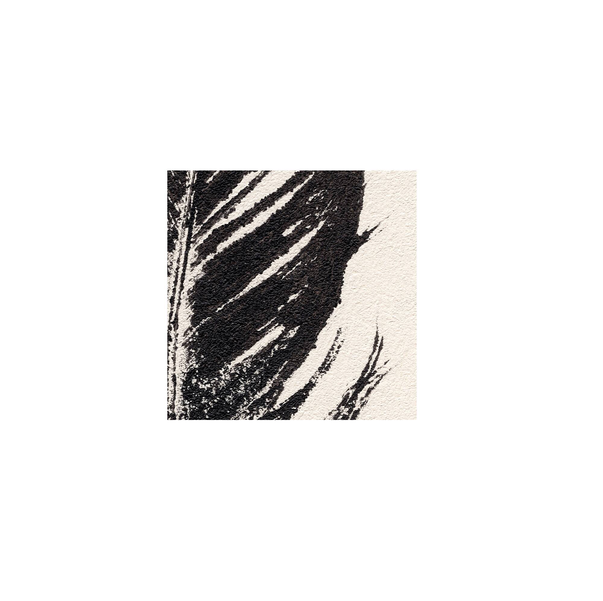 Tirage d'art Plumes Noires 50x70 par  Eawy