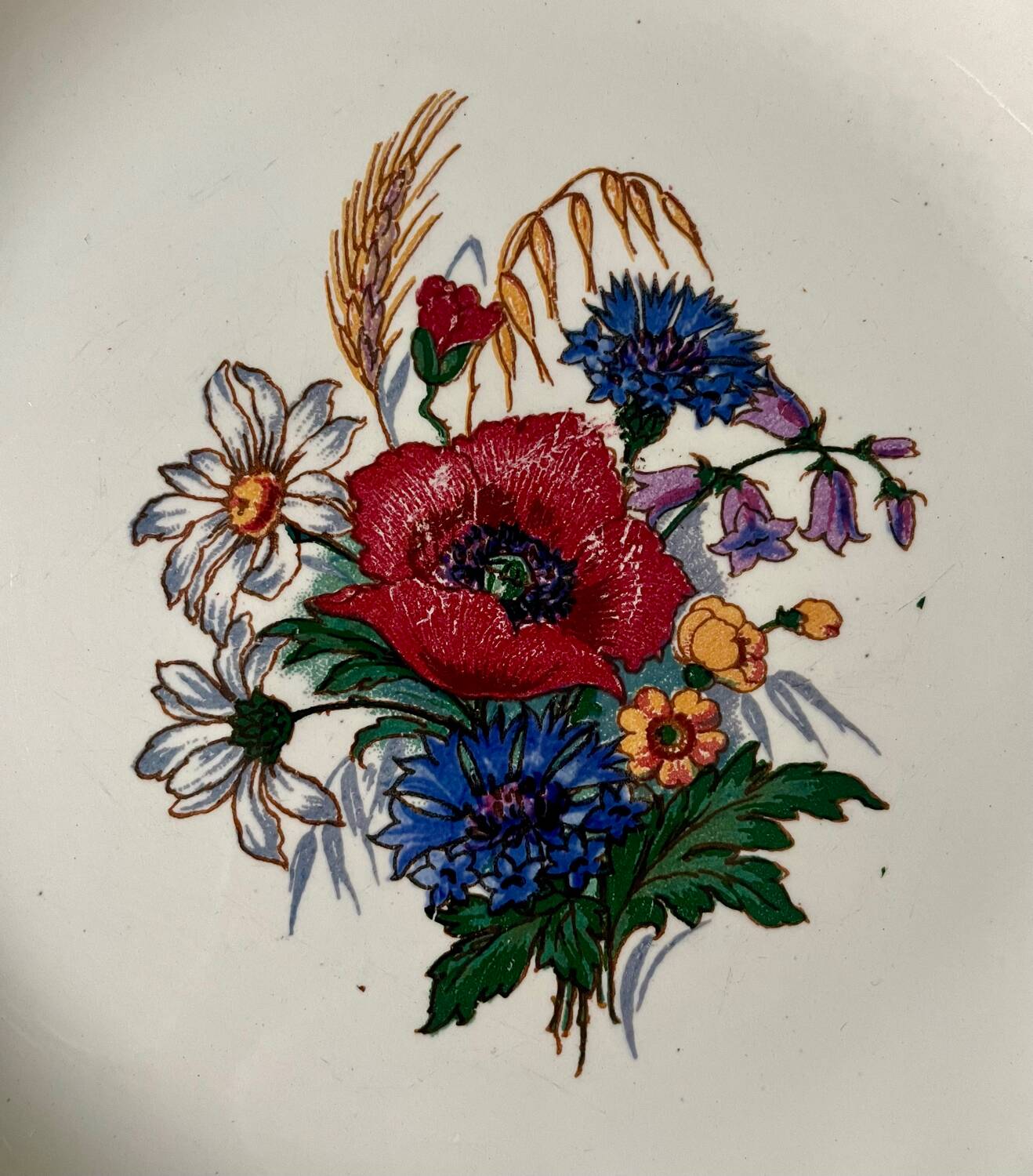 Series of 10 “Agreste” flat plates Sarreguemines France