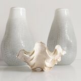 Stunning South Pacific Clam Shell – Sculptural Organic Modern Object