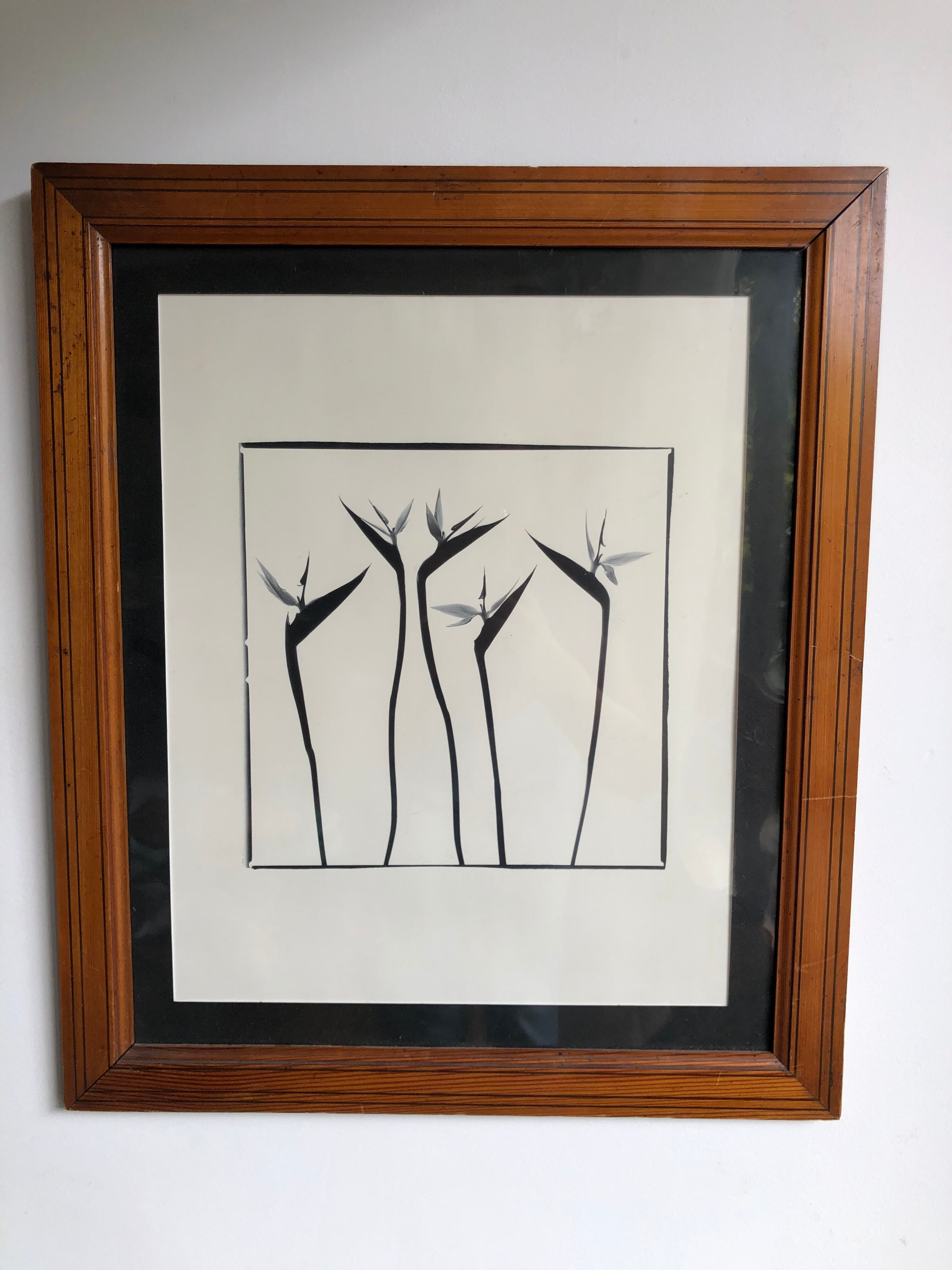 Flowers black and white framed print