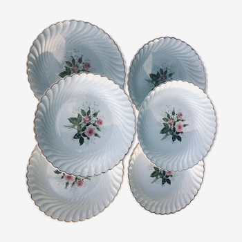 Lot 6 lunéville plates