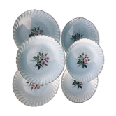 Lot 6 lunéville plates