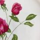 Plate by Amandinoise with a floral art deco rose motif.