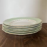 Amandinoise flat plate