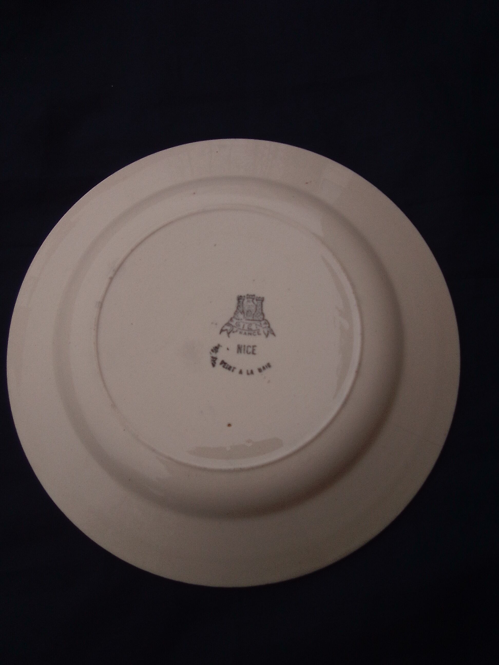 Plate in Gien earthen earthen model Nice diam 22.5 cm
