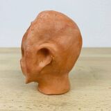 Terracotta head/bust, object of curiosity