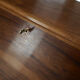 Walnut cabinet 70s