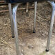 White formica stool