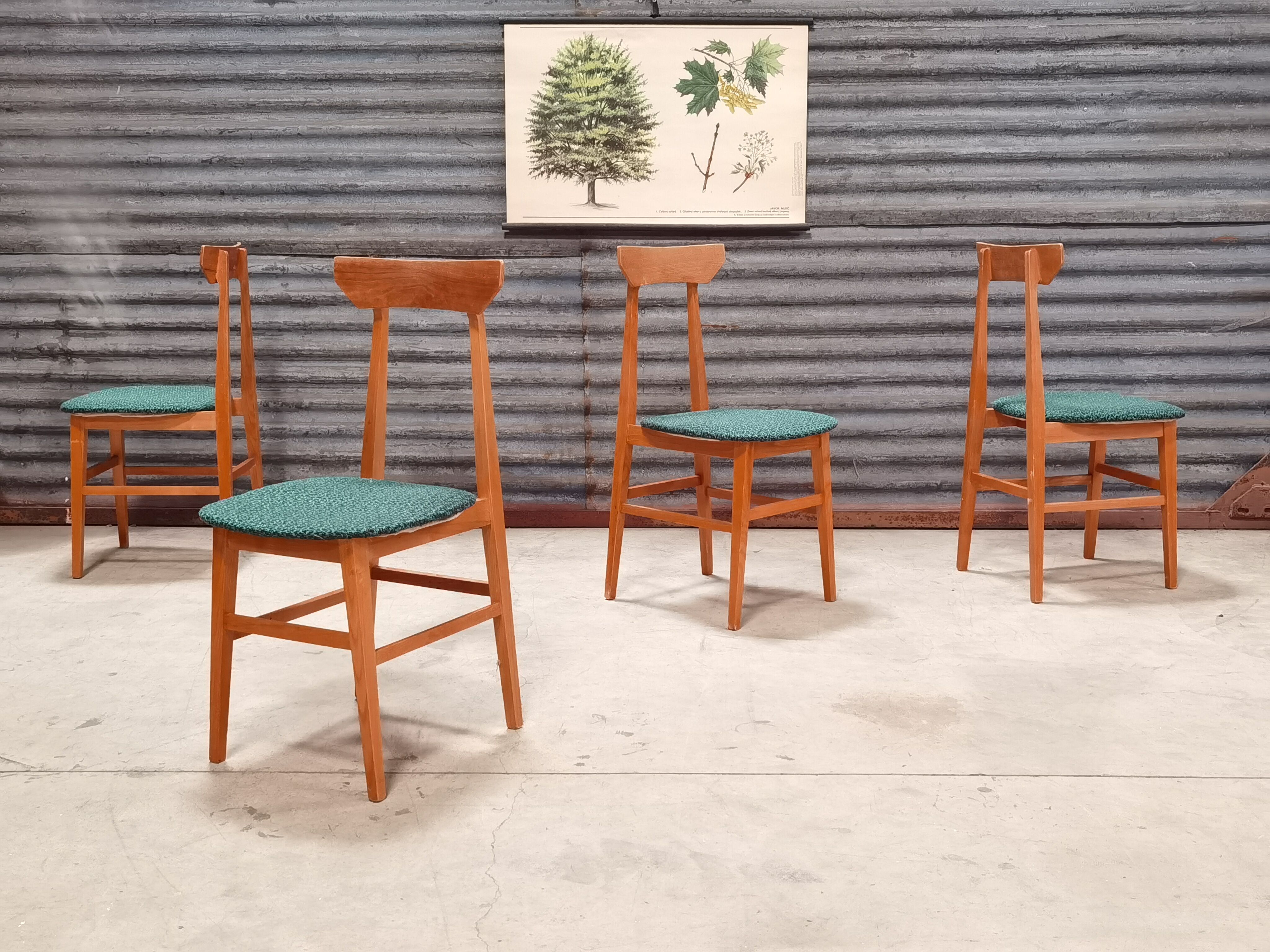 Set of 4 Chairs Drevotex Emerald Green