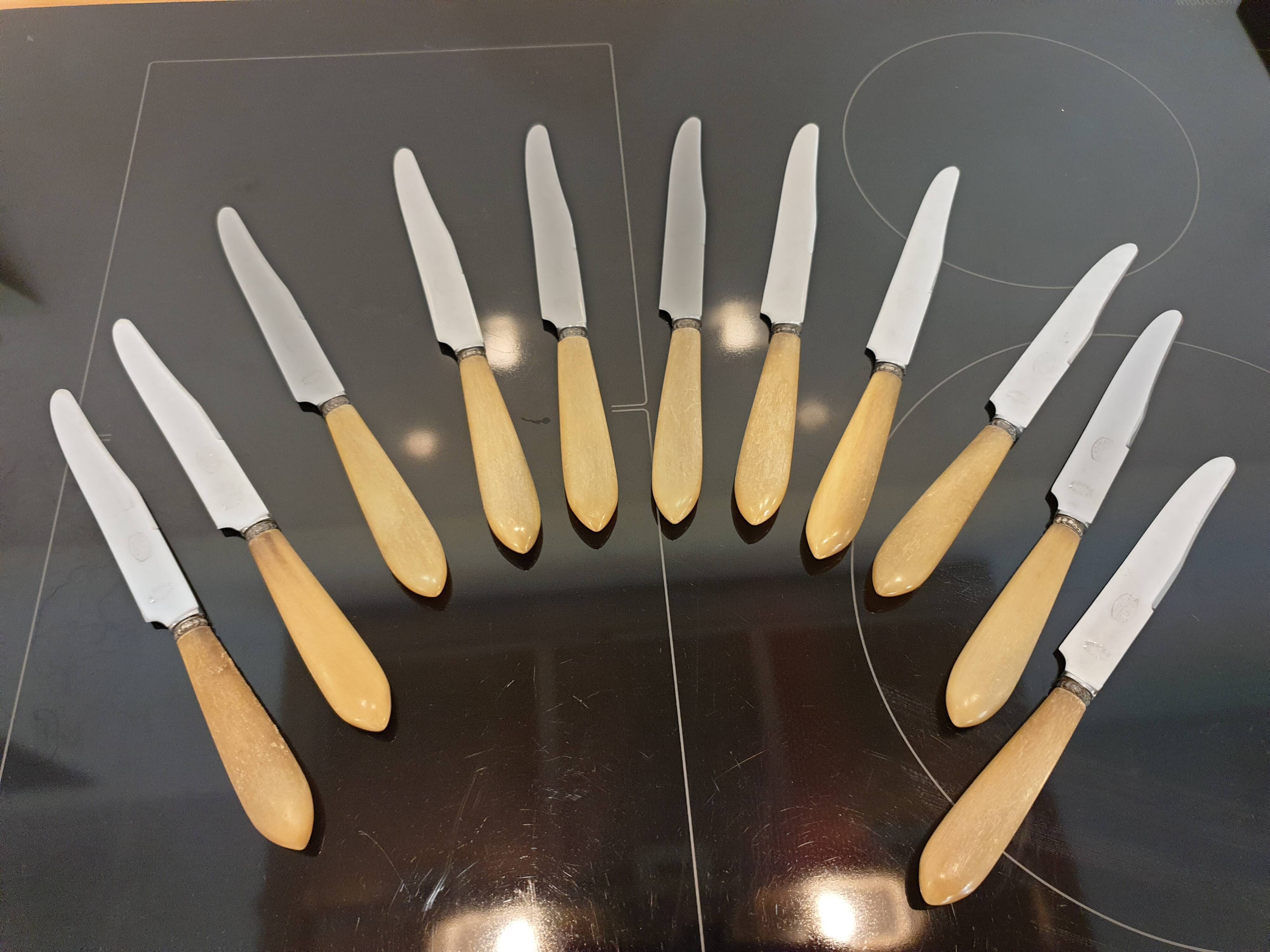 10 couteaux en corne virole en argent
