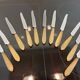 10 couteaux en corne virole en argent