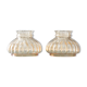 Booked Lot of two glass globes