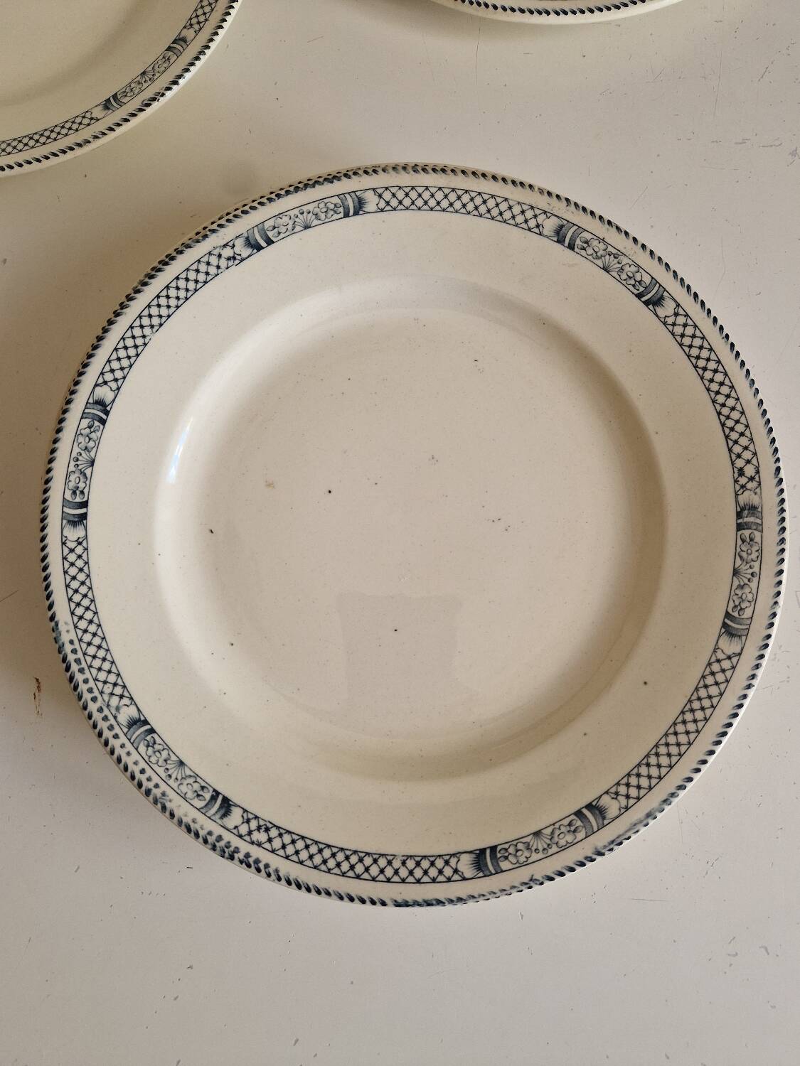 Lot de 12 assiettes plates terre de fer salins modèle Vauban