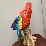 Ceramic Parrot/Life Size