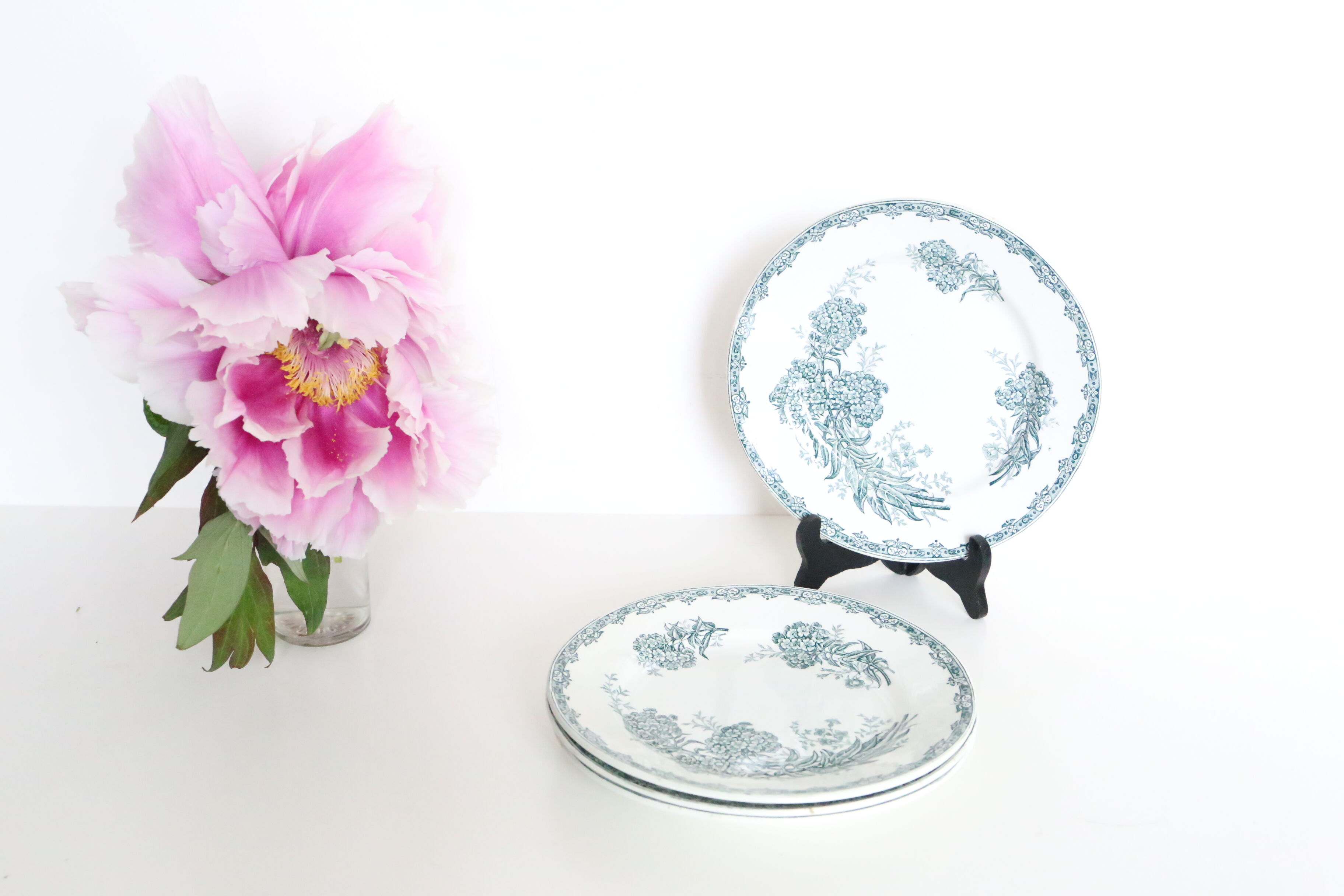 Set of 4 flat plates Terre de Fer, Saint Amand, Daisy