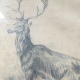 Drawing signed deer in charcoal