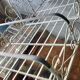 Etagere boulangere ancienne en fer forge a 5 niveaux