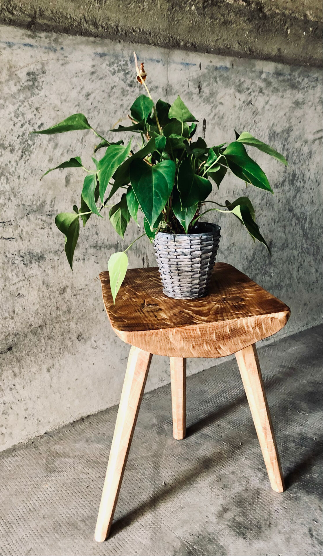 Table tripode bois design Brutaliste