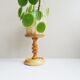 Wooden plant stand
