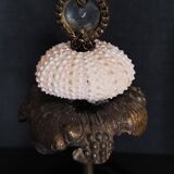 Cabinet of Curiosities globe with sea urchin paracentrotus lividus
