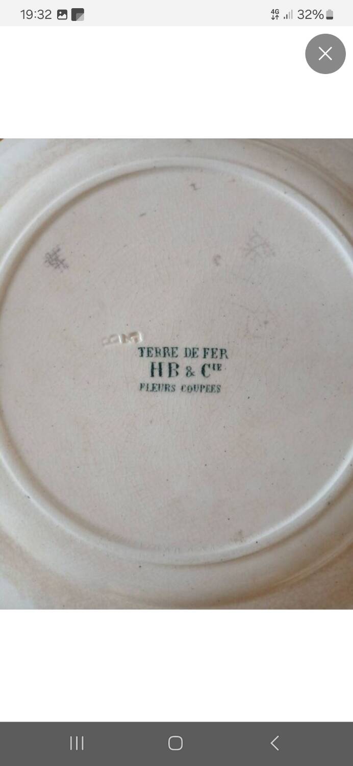 7 old flat plates Terre de fer