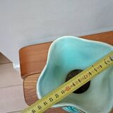 Vallauris vase flowers on black background