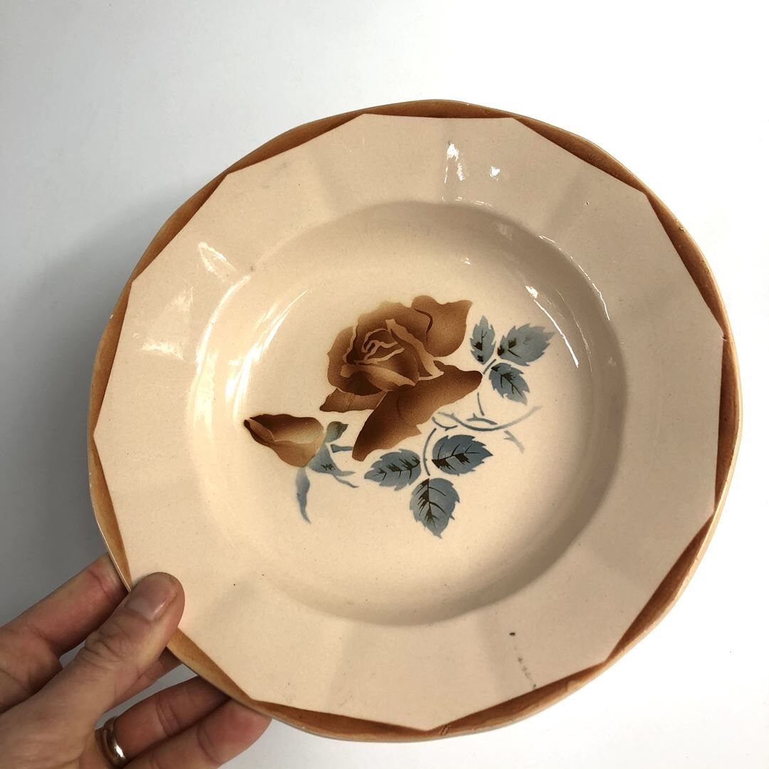 2 old hollow plates Digoin Sarreguemines