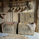 Old wicker moving trunk