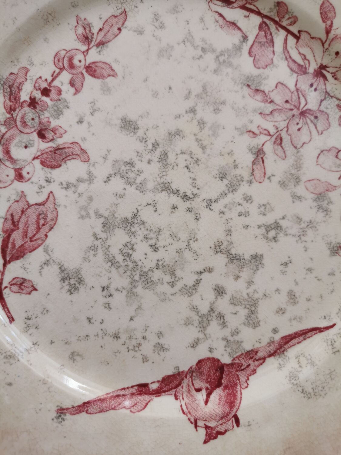 Assiettes anciennes Sarreguemines "Favori"