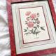 Vintage botanical lithograph