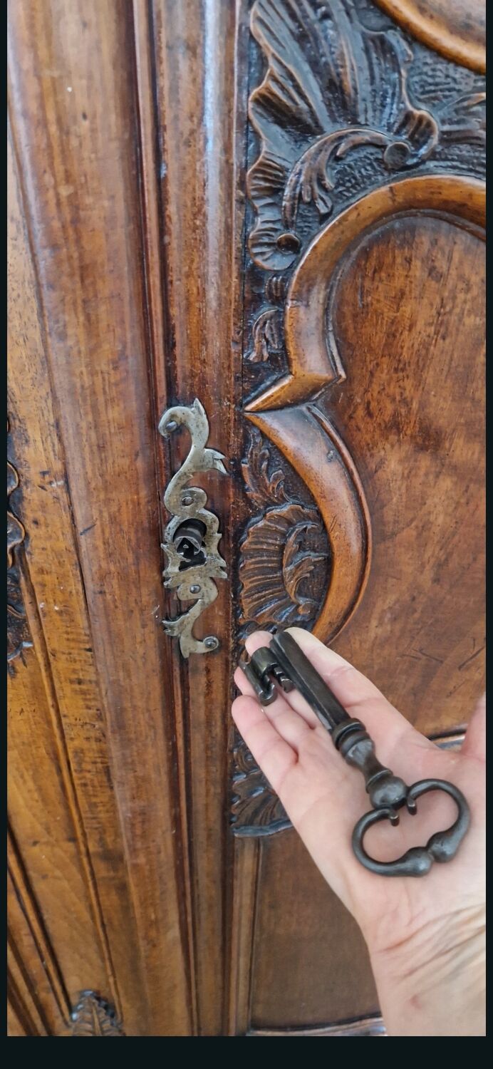 Remarkable Lyonnaise Armoire Louis XV